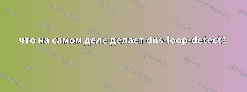 что на самом деле делает dns-loop-detect?
