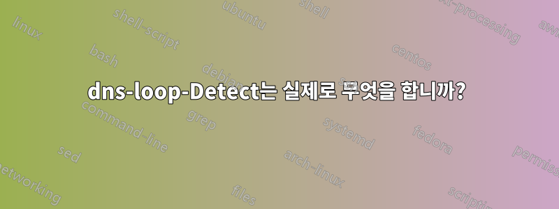 dns-loop-Detect는 실제로 무엇을 합니까?