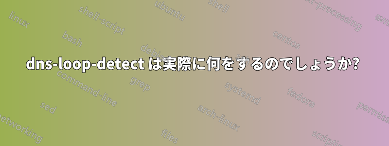 dns-loop-detect は実際に何をするのでしょうか?