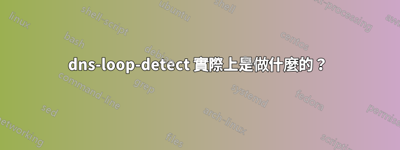 dns-loop-detect 實際上是做什麼的？