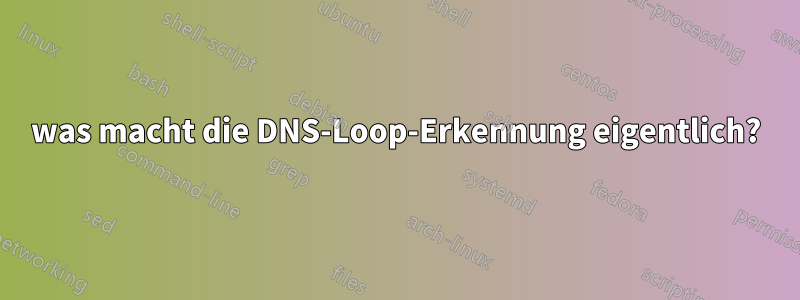 was macht die DNS-Loop-Erkennung eigentlich?
