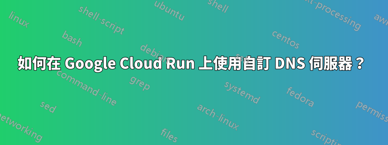 如何在 Google Cloud Run 上使用自訂 DNS 伺服器？