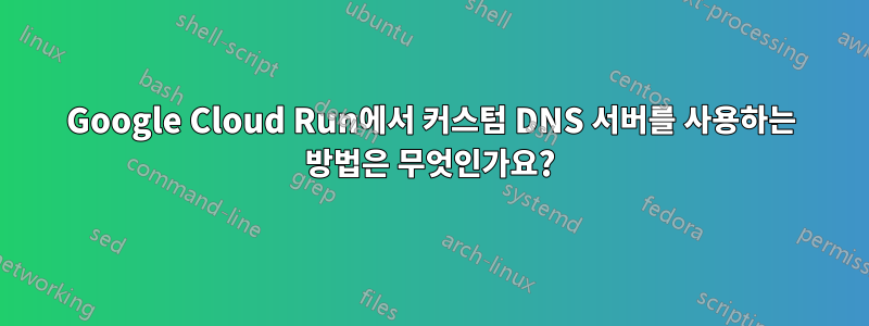 Google Cloud Run에서 커스텀 DNS 서버를 사용하는 방법은 무엇인가요?