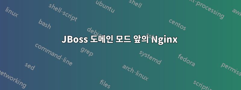 JBoss 도메인 모드 앞의 Nginx