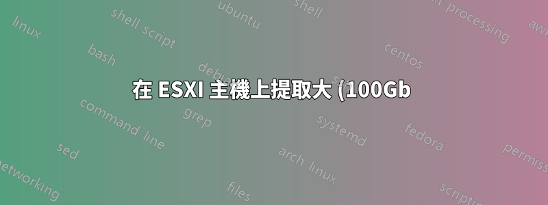 在 ESXI 主機上提取大 (100Gb) zip