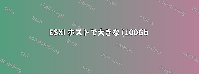 ESXI ホストで大きな (100Gb) zip を解凍する