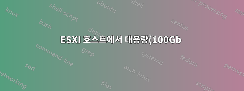 ESXI 호스트에서 대용량(100Gb) zip 추출