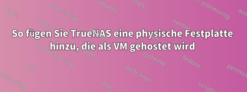 So fügen Sie TrueNAS eine physische Festplatte hinzu, die als VM gehostet wird