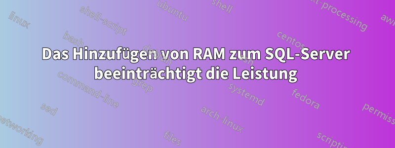 Das Hinzufügen von RAM zum SQL-Server beeinträchtigt die Leistung