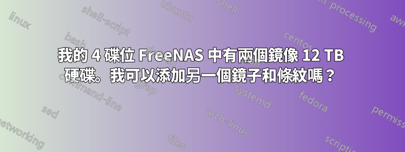 我的 4 碟位 FreeNAS 中有兩個鏡像 12 TB 硬碟。我可以添加另一個鏡子和條紋嗎？