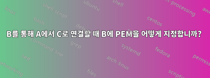 B를 통해 A에서 C로 연결할 때 B에 PEM을 어떻게 지정합니까?