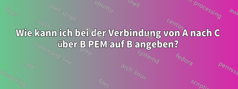 Wie kann ich bei der Verbindung von A nach C über B PEM auf B angeben?