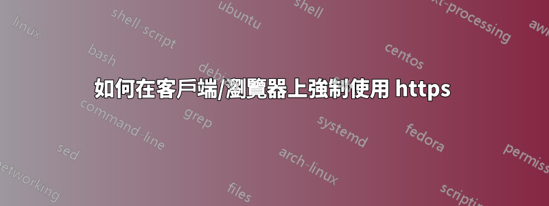 如何在客戶端/瀏覽器上強制使用 https
