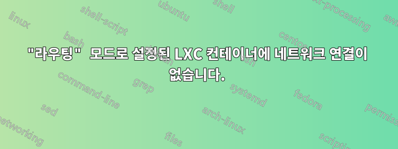"라우팅" 모드로 설정된 LXC 컨테이너에 네트워크 연결이 없습니다.