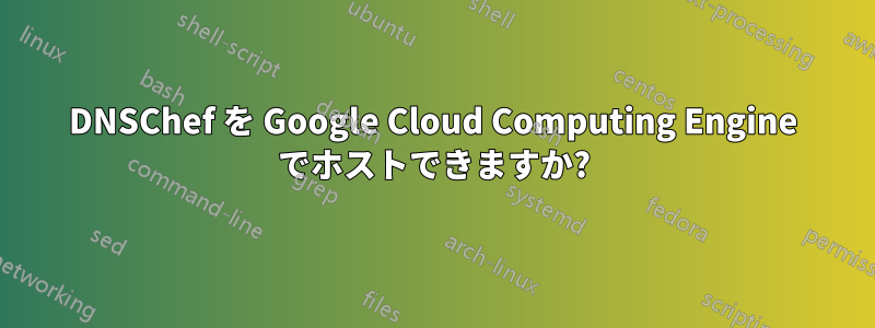 DNSChef を Google Cloud Computing Engine でホストできますか?