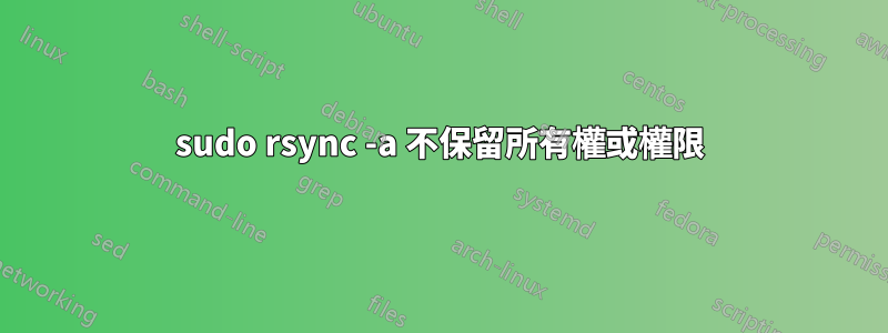 sudo rsync -a 不保留所有權或權限