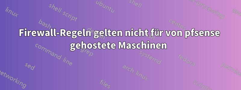 Firewall-Regeln gelten nicht für von pfsense gehostete Maschinen 