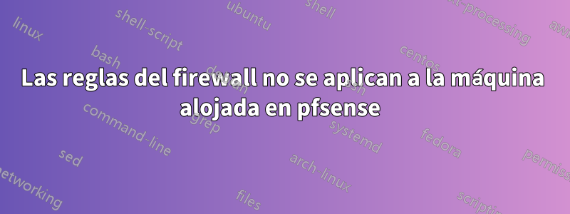 Las reglas del firewall no se aplican a la máquina alojada en pfsense 
