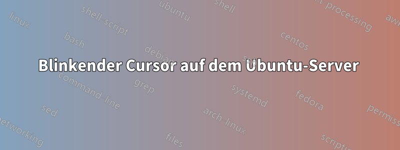 Blinkender Cursor auf dem Ubuntu-Server