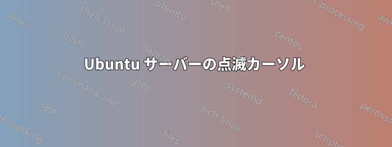 Ubuntu サーバーの点滅カーソル