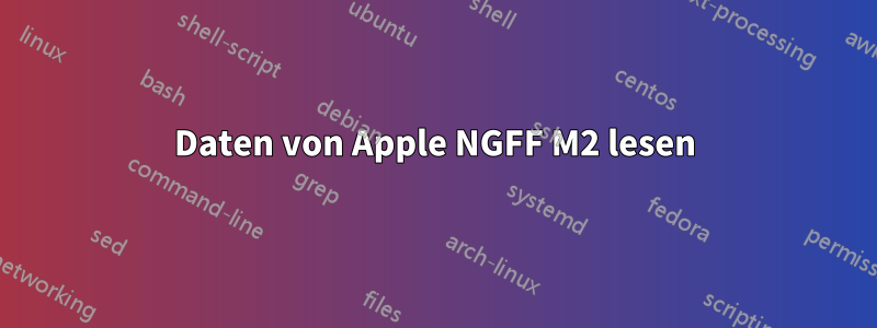 Daten von Apple NGFF M2 lesen