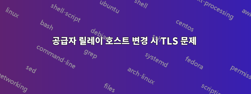 공급자 릴레이 호스트 변경 시 TLS 문제