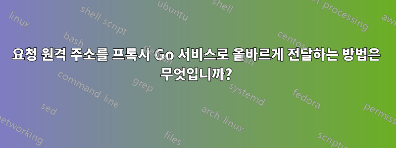 요청 원격 주소를 프록시 Go 서비스로 올바르게 전달하는 방법은 무엇입니까?