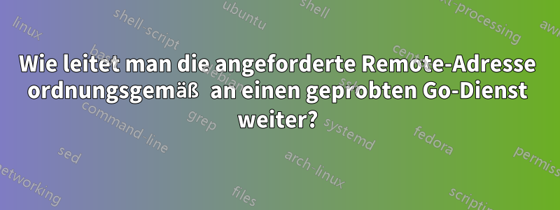 Wie leitet man die angeforderte Remote-Adresse ordnungsgemäß an einen geprobten Go-Dienst weiter?