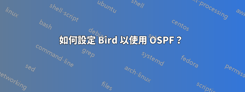 如何設定 Bird 以使用 OSPF?