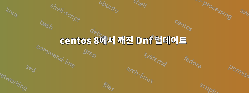 centos 8에서 깨진 Dnf 업데이트