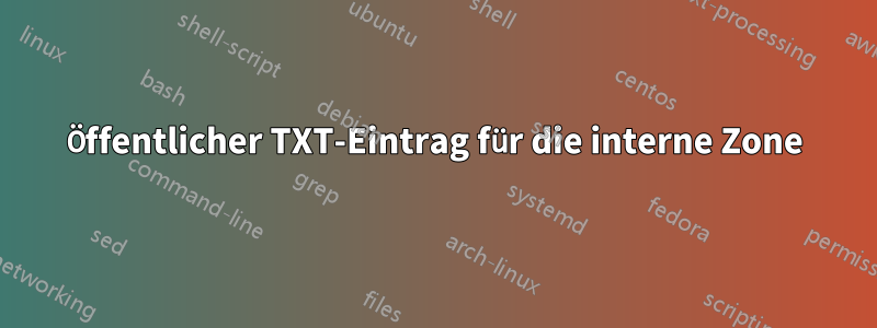 Öffentlicher TXT-Eintrag für die interne Zone