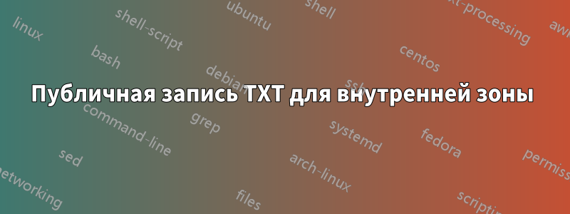 Публичная запись TXT для внутренней зоны