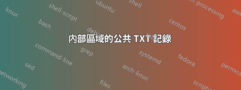 內部區域的公共 TXT 記錄