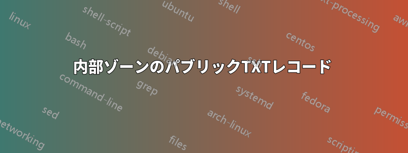 内部ゾーンのパブリックTXTレコード