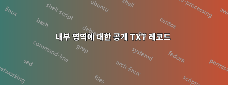 내부 영역에 대한 공개 TXT 레코드