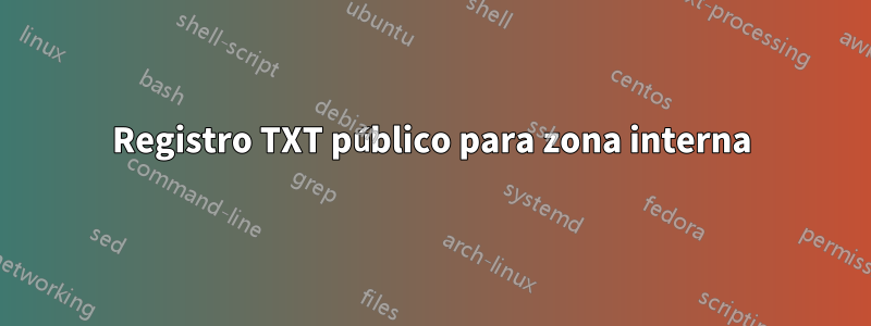 Registro TXT público para zona interna