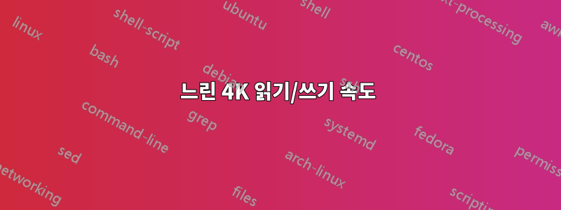 느린 4K 읽기/쓰기 속도