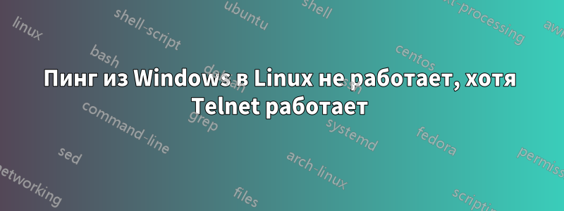 Пинг из Windows в Linux не работает, хотя Telnet работает