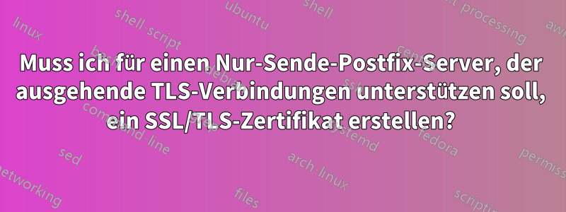 Muss ich für einen Nur-Sende-Postfix-Server, der ausgehende TLS-Verbindungen unterstützen soll, ein SSL/TLS-Zertifikat erstellen?