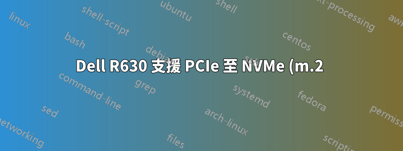Dell R630 支援 PCIe 至 NVMe (m.2) 轉接器和驅動器嗎?