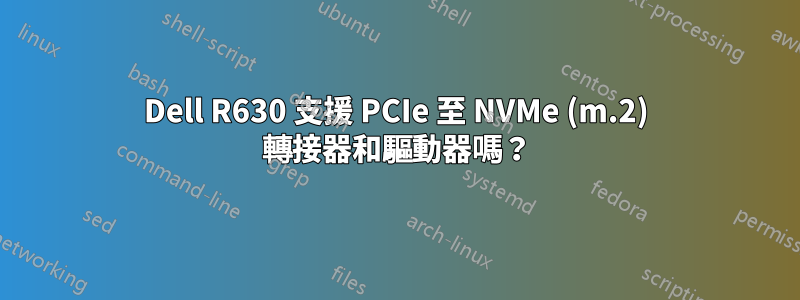 Dell R630 支援 PCIe 至 NVMe (m.2) 轉接器和驅動器嗎？