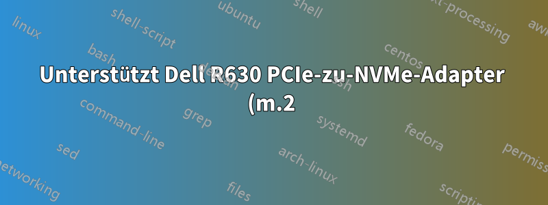 Unterstützt Dell R630 PCIe-zu-NVMe-Adapter (m.2) und Laufwerk?