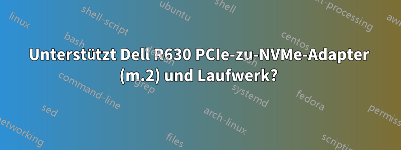 Unterstützt Dell R630 PCIe-zu-NVMe-Adapter (m.2) und Laufwerk?