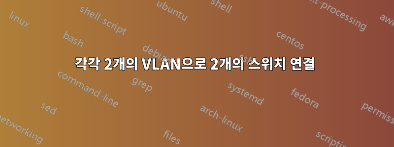 각각 2개의 VLAN으로 2개의 스위치 연결