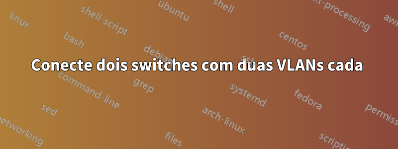 Conecte dois switches com duas VLANs cada