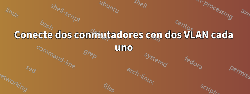 Conecte dos conmutadores con dos VLAN cada uno