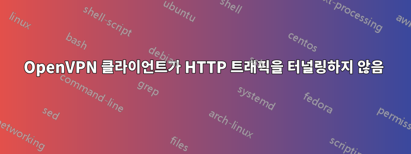 OpenVPN 클라이언트가 HTTP 트래픽을 터널링하지 않음