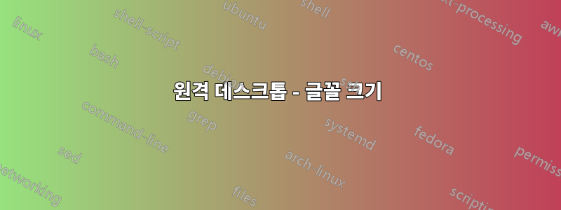 원격 데스크톱 - 글꼴 크기