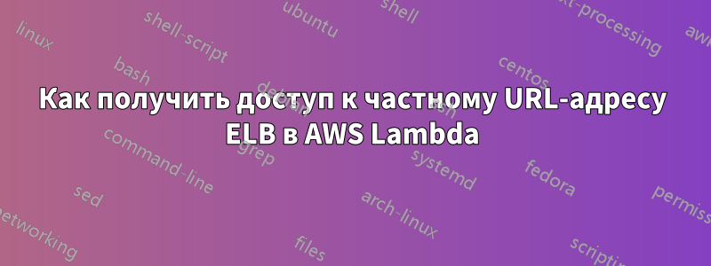 Как получить доступ к частному URL-адресу ELB в AWS Lambda