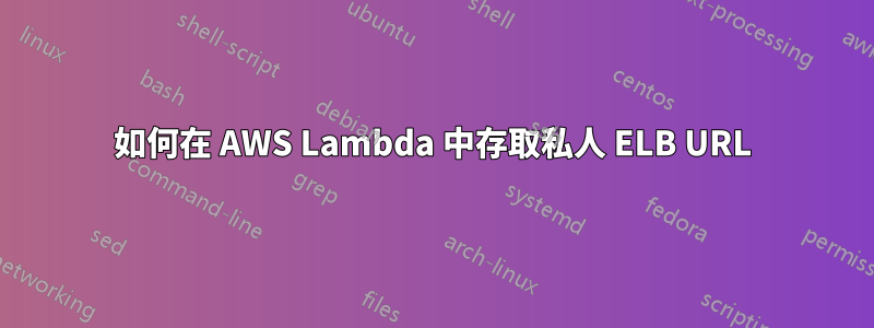 如何在 AWS Lambda 中存取私人 ELB URL